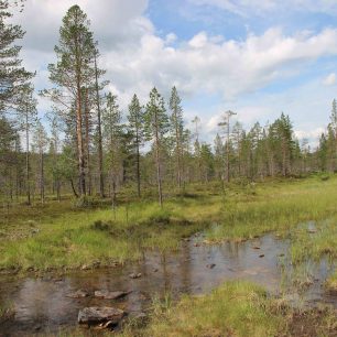 Občas je třeba i brodit se