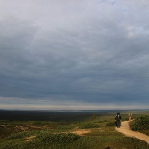 Nikdy nekončící lesy