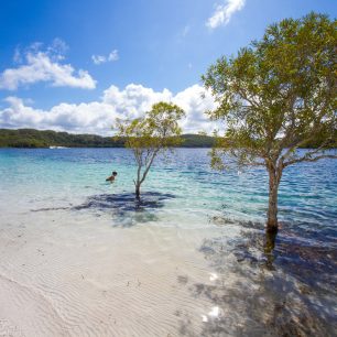 Fraser Island (Shutterstock.com)
