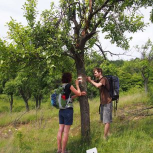 Značky jdou vidět už z dálky