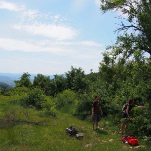Je třeba občas i opravit místní floru