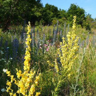 Krásná příroda kolem Gerníku