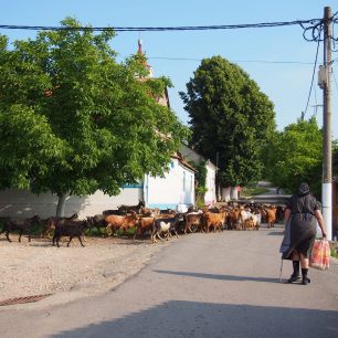 Tradiční banátská vesnice