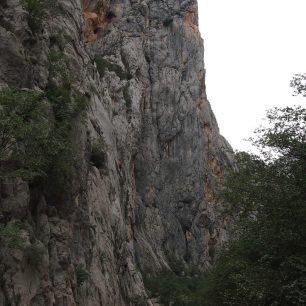 Horolezecká stěna