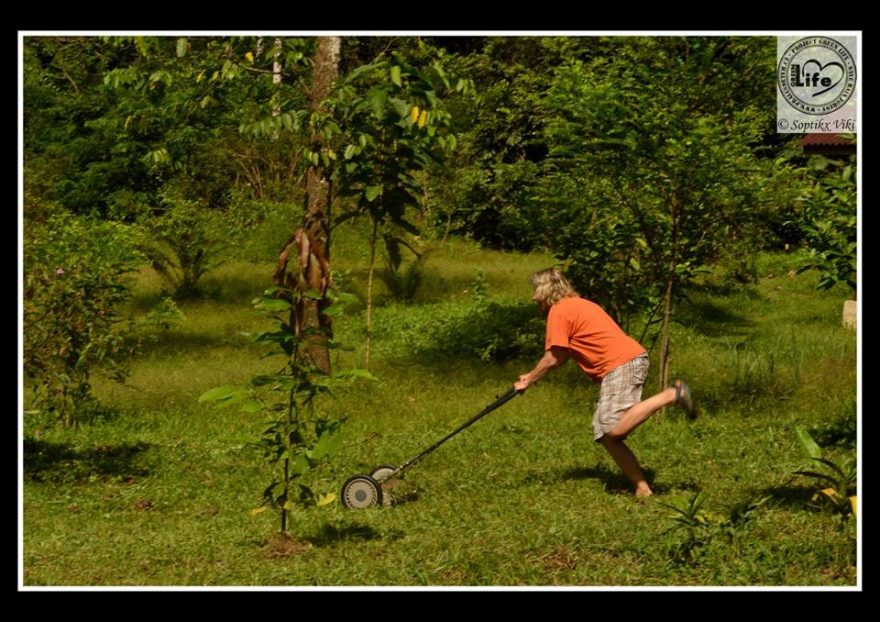 Pomoc dobrovolníku je důležitá