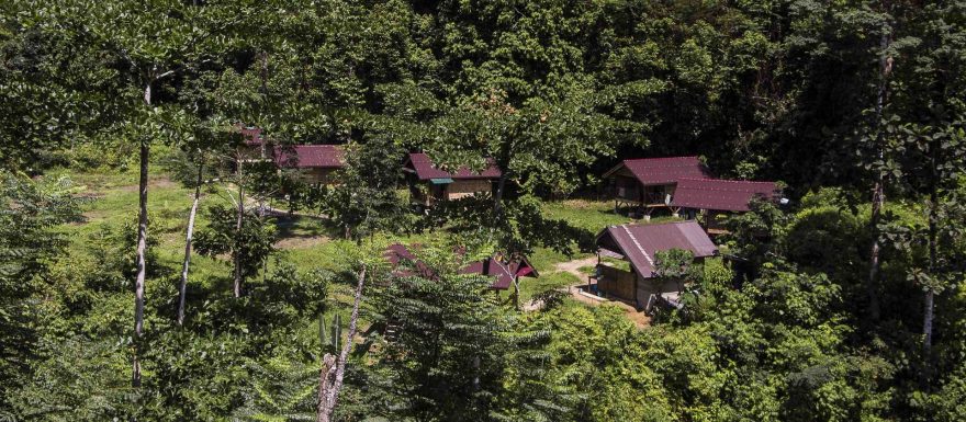 Tábor v rezervaci Green life