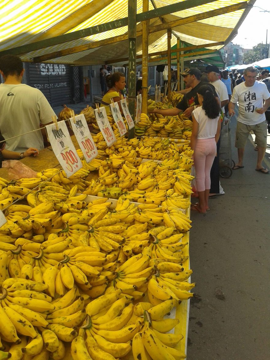 Všemi barvy hrající trh