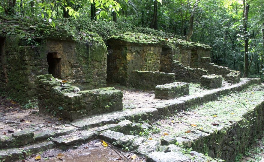 Ruiny Palenque se nalézají v pralese a mnohdy je těžké rozeznat, co je jen obyčejný kopec a co je stavba ukrytá pod hromadou hlíny, Mexiko