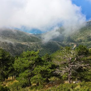 Svahy Llogarského národního parku. 