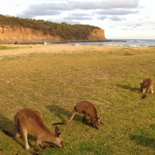 Austrálie – the Land down under