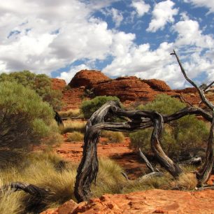 Příroda parku Bungle Bungle