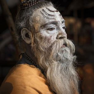 Symbolem města jsou sadhuové