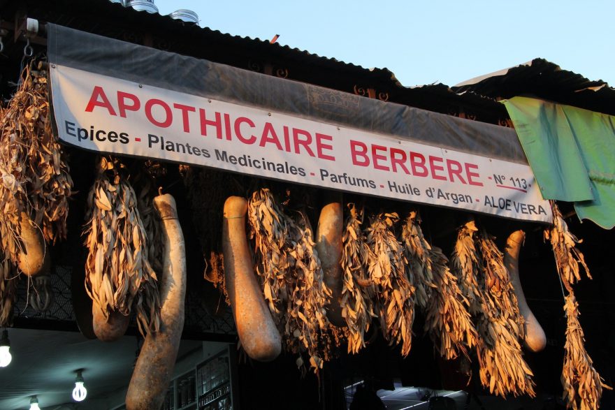 Berberská lékárna, Zagora