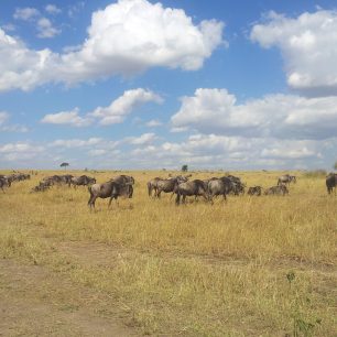 Velká migrace, Keňa