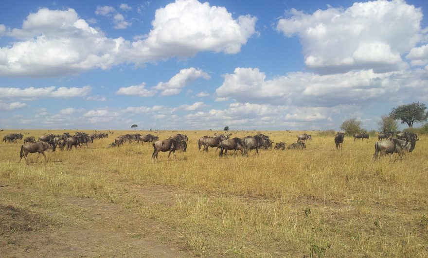 Velká migrace, Keňa