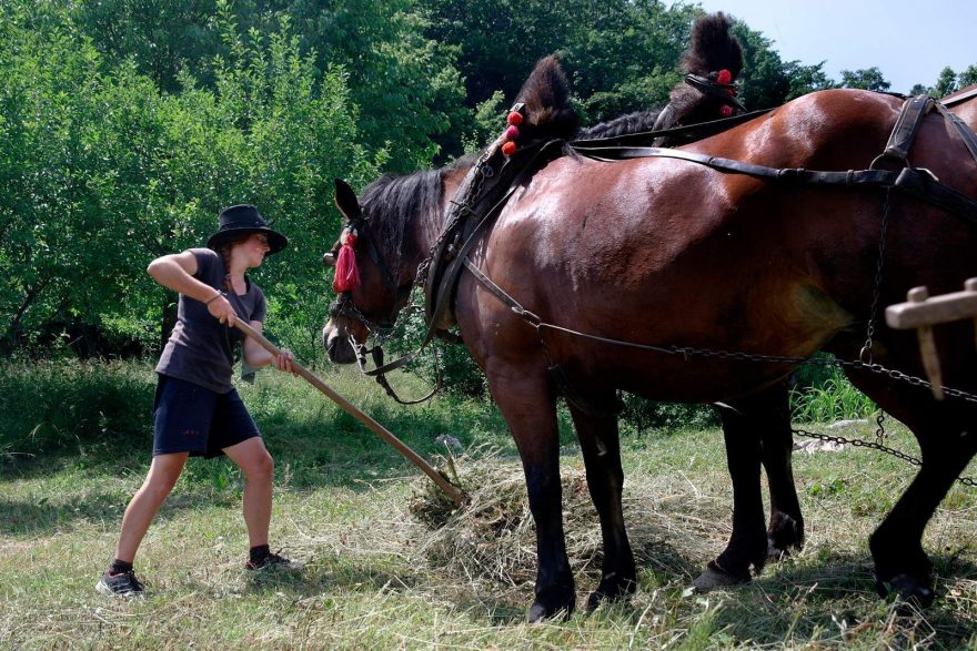 Dobrovolnice při práci