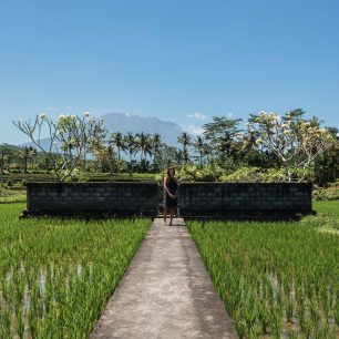 Bára Trnková uprostřed rýžových polí, Indonésie
