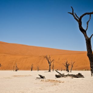 Fotogenická Namibie - Dead vlei