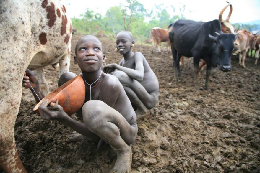 Lidé kmene Suri věří, že pití dobytčí krve dodává sílu a energie /Foto Pavol Barabáš, Ivan Bulík/