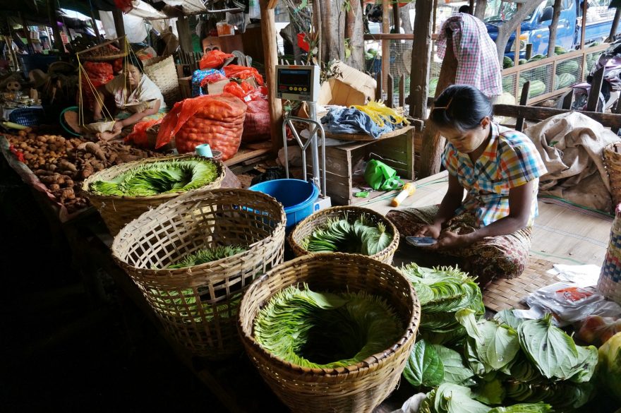 Tradice se mísí s moderním světem – prodavačka betelových listů si hraje se smartphonem. Myanmar