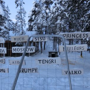 Zaměstnanci si pamatují jména všech svých 148 psů, Lapland, Finland