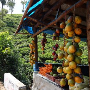 Něco jako zdravý fast food poasijsku, Indie