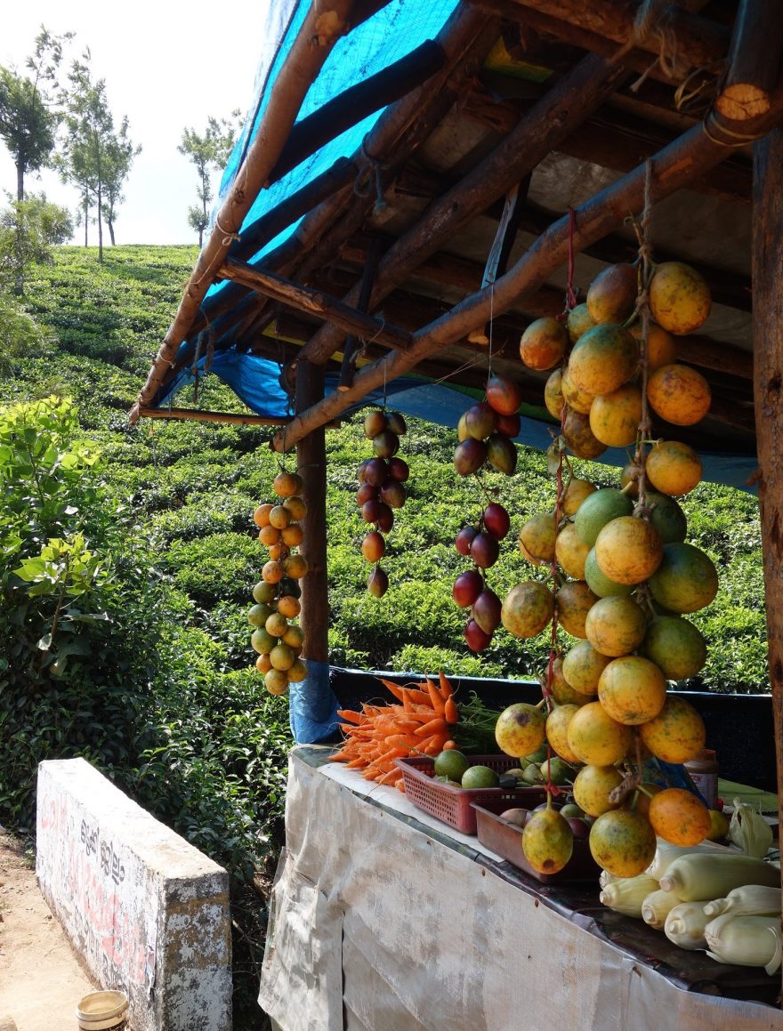 Něco jako zdravý fast food poasijsku, Indie