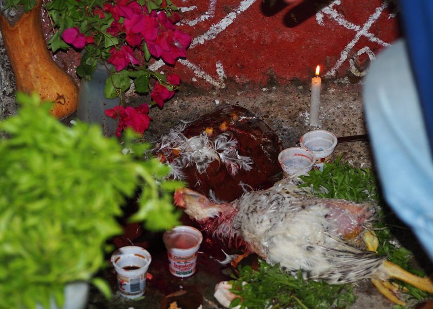 Zvířecí krev obsahuje obrovské množství energie, díky které se bohové zabydlení v domě probouzí. Kuba