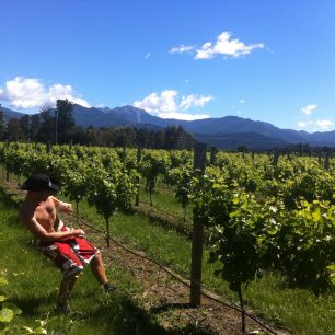 Natahování drátů na vinicích, Blenheim, Nový Zéland