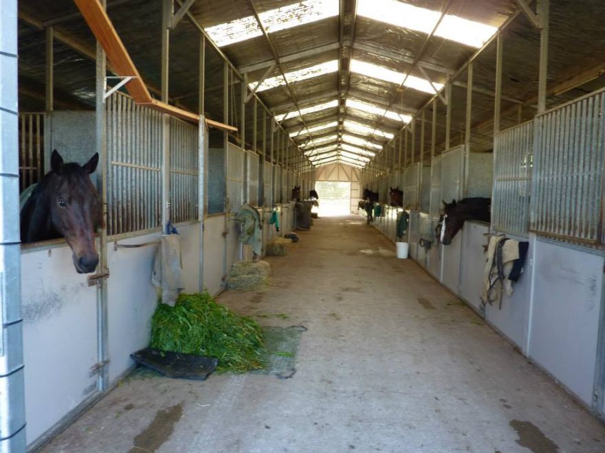 Vysněná práce u koní, Nový Zéland