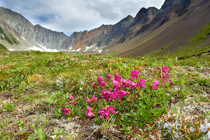 Dolina Vačkažec, Kamčatka