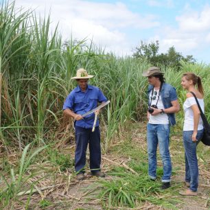Občas se vyplatí využít služby průvodce, Kuba