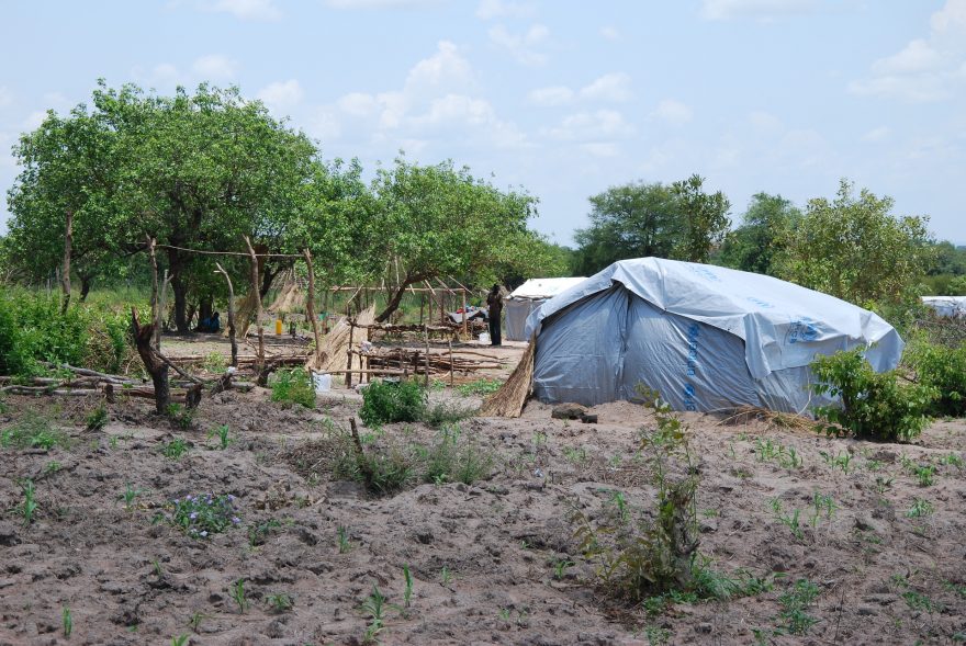 V táboře probíhá výstavba nové vesnice, tábor Rhino, Arua, Uganda