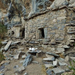 Hrobky kmene Collagua, Peru