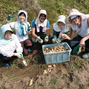 Práce na farmě, Rikuzentakata, Japonsko