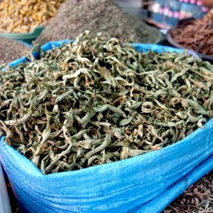 Prodej sušené citrónové verbeny z pytlů na tradičním tržišti souk, Maroko