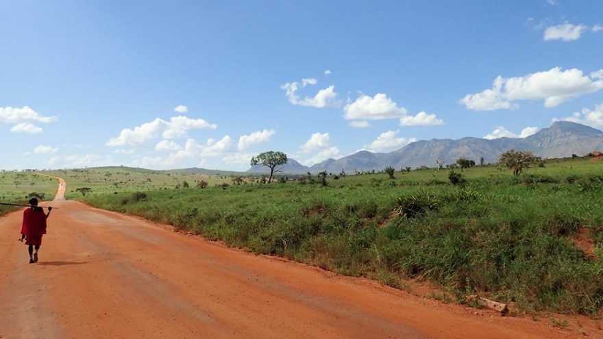 Tipash na cestě v Tsavo West, Keňa