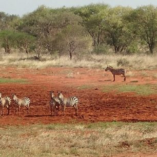 Národní park Tsavo West, Keňa