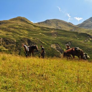 Vysoká žlutá tráva gruzínských plání, Gruzie