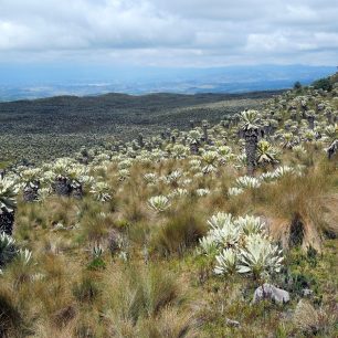 Pláně Jižní Ameriky