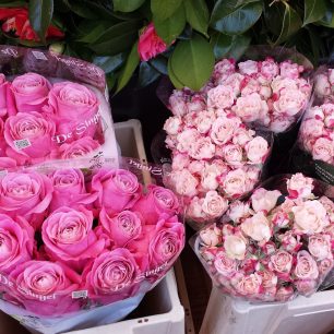 Na trhu najdete květiny všeho druhu včetně sazenic.