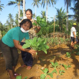 Farmáři získávají zpět soběstačnost, Východní Samar, Filipíny