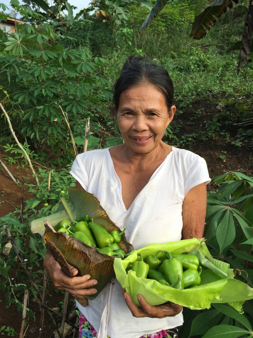Pyšná hospodářka, Východní Samar, Filipíny