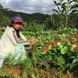 Na cvičném poli, Východní Samar, Filipíny