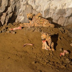 Figurky pravěkých zvířat, Moravský kras