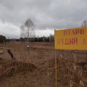 Namísto rudého lesa je tu rudá louka, stále však vysoce radioaktivní!