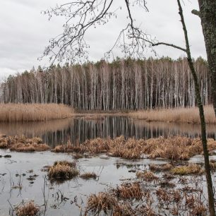 Příroda je tu pohádková