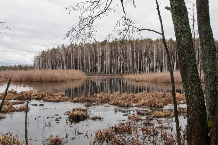 Příroda je tu pohádková
