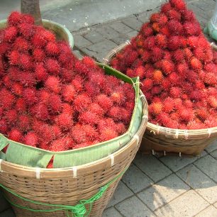 Ovoce rambutan, Bali, Indonésie, foto: Sakurai Midori