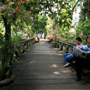 Charismatické město Ubud jsem si zamilovala, Bali, Indonésie